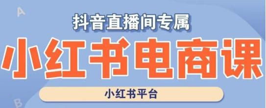 小红书电商高级运营课程，实操教学+案例分析-知库